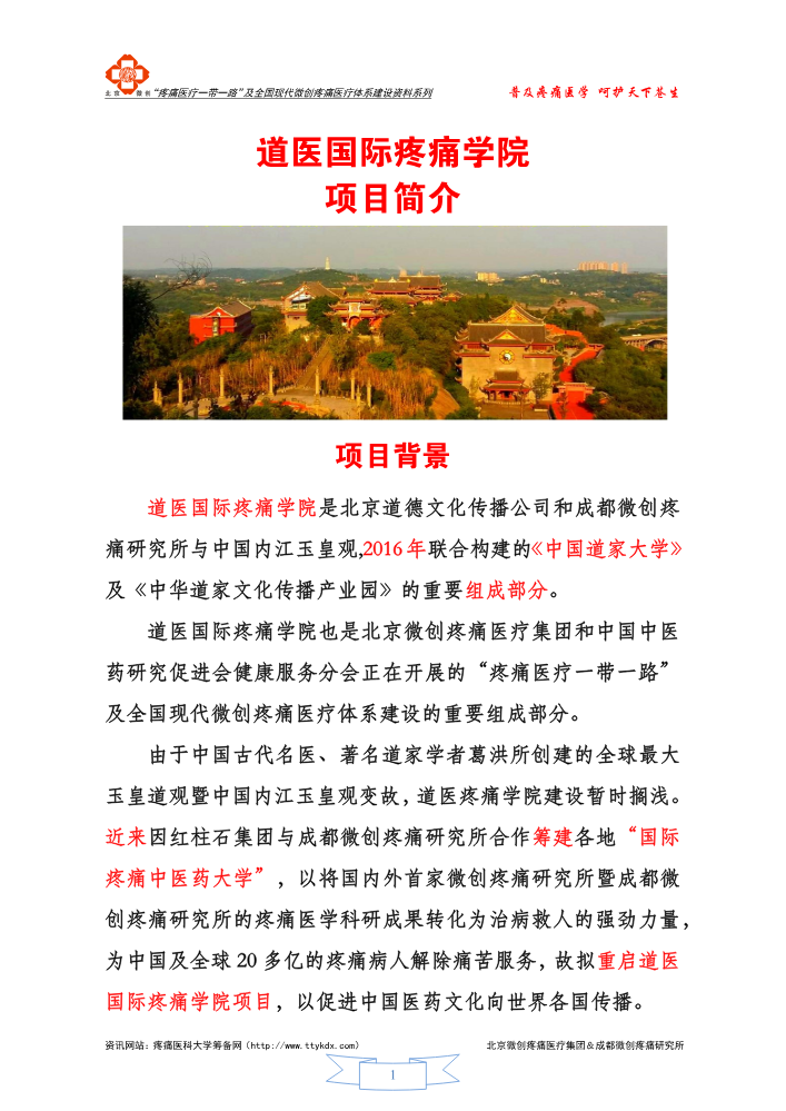 道医国际疼痛学院项目