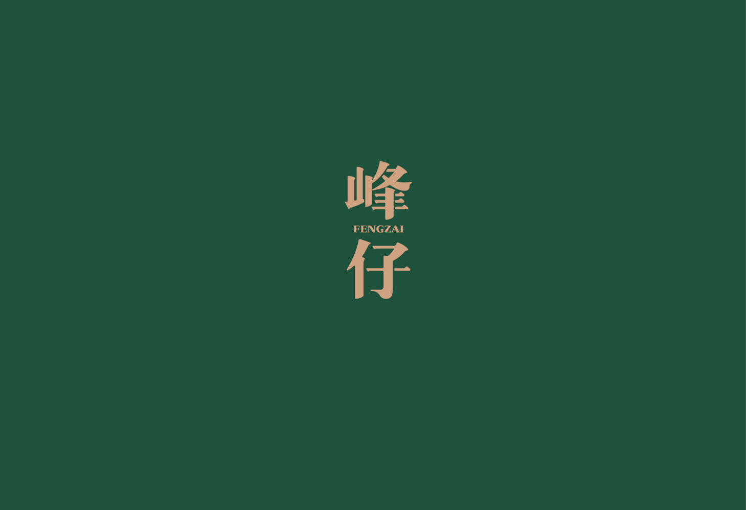峰仔食品产品画册
