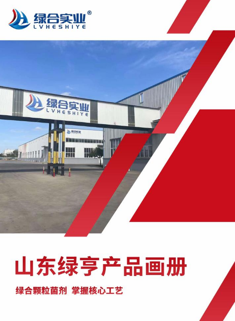 山东绿亨产品画册