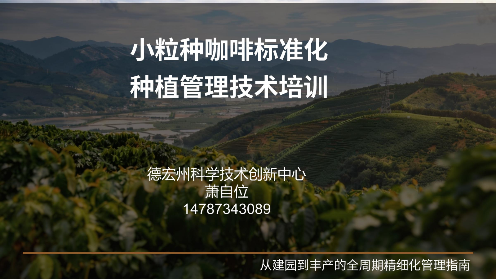小粒种咖啡种植管理技术手册