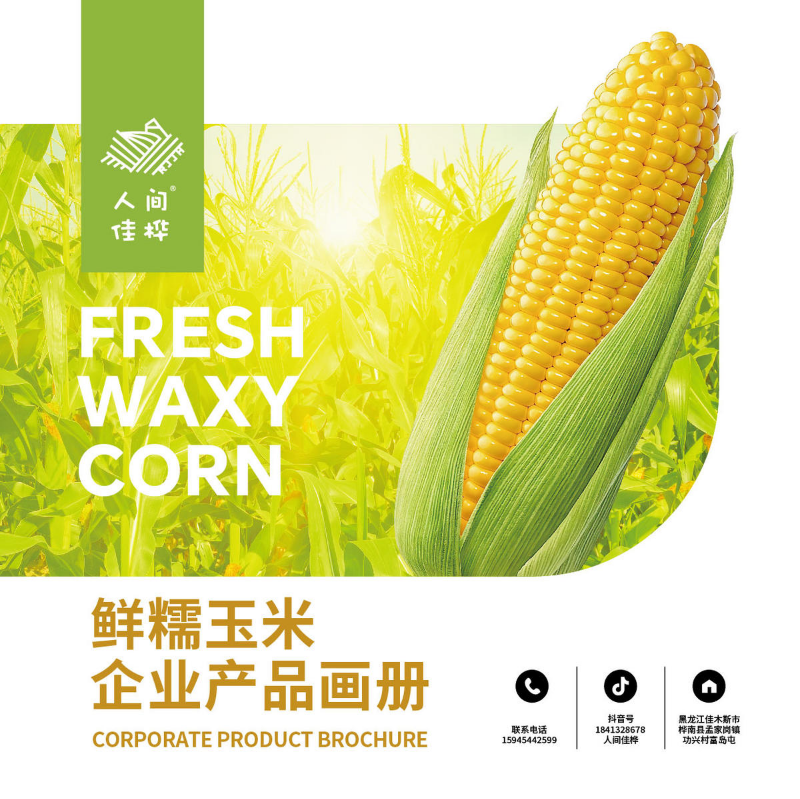 人间佳桦