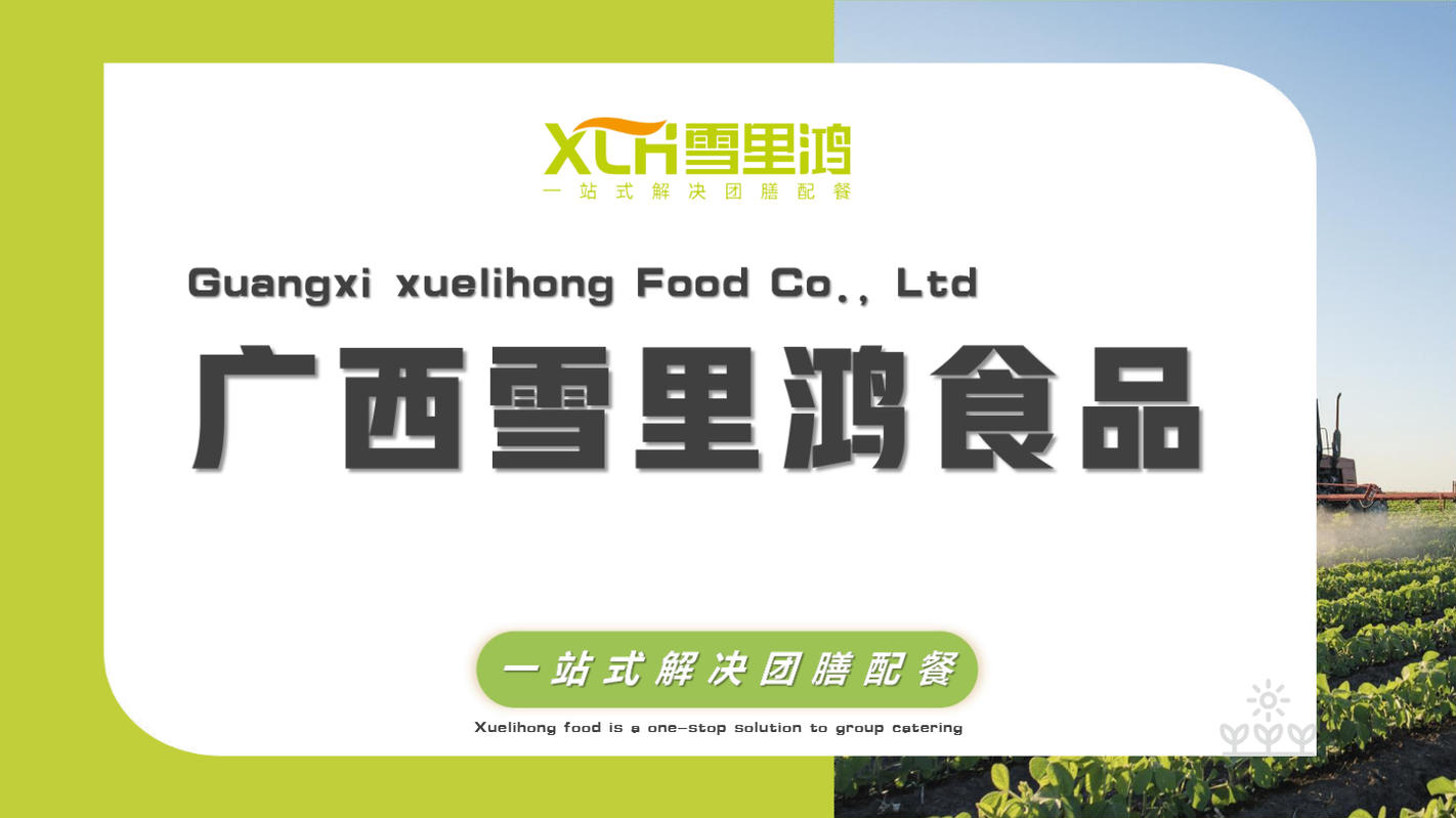 广西雪里鸿食品公司简介已更新（2026年）