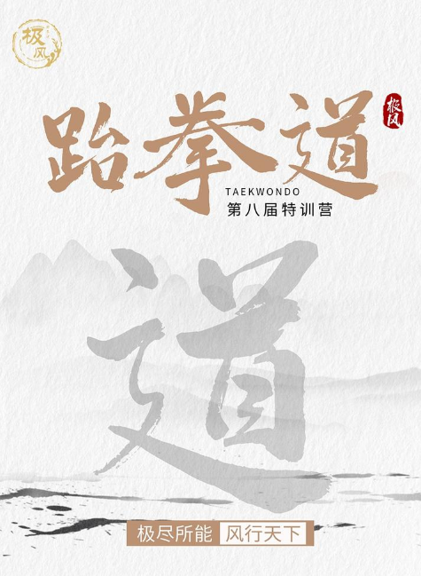 2026广东极风跆拳道第八届特训营