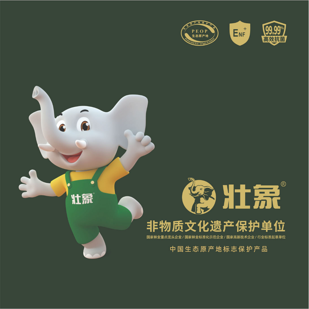 南宁壮象