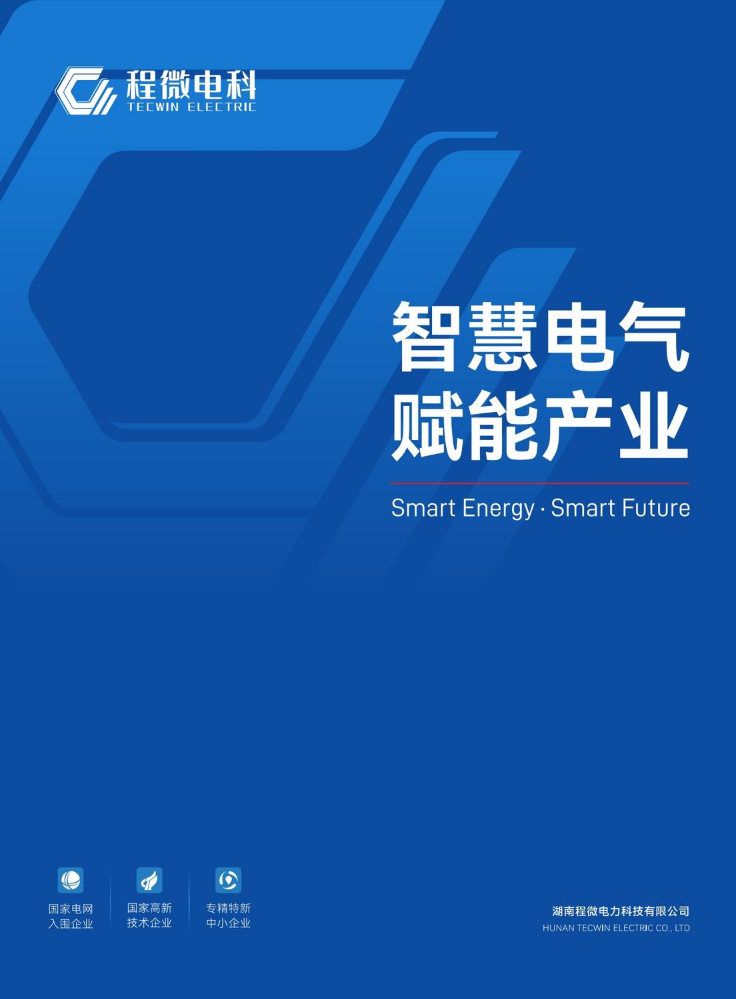 湖南程微电力科技有限公司