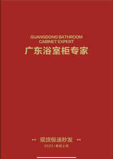 广东浴室柜专家