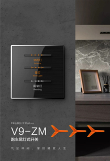V9-ZM系列图