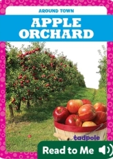 Apple Orchard_副本