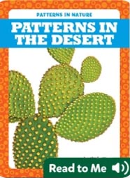 Patterns in the Desert_副本
