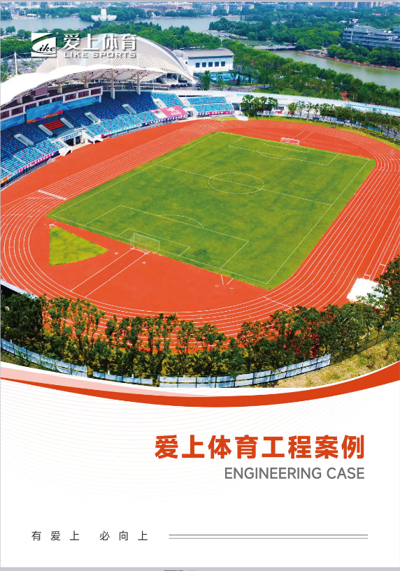 爱上体育精选项目案例