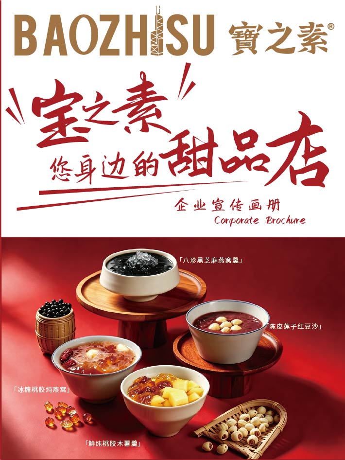 宝之素画册